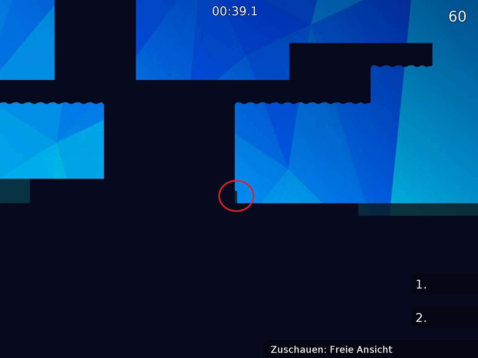 graphic bug