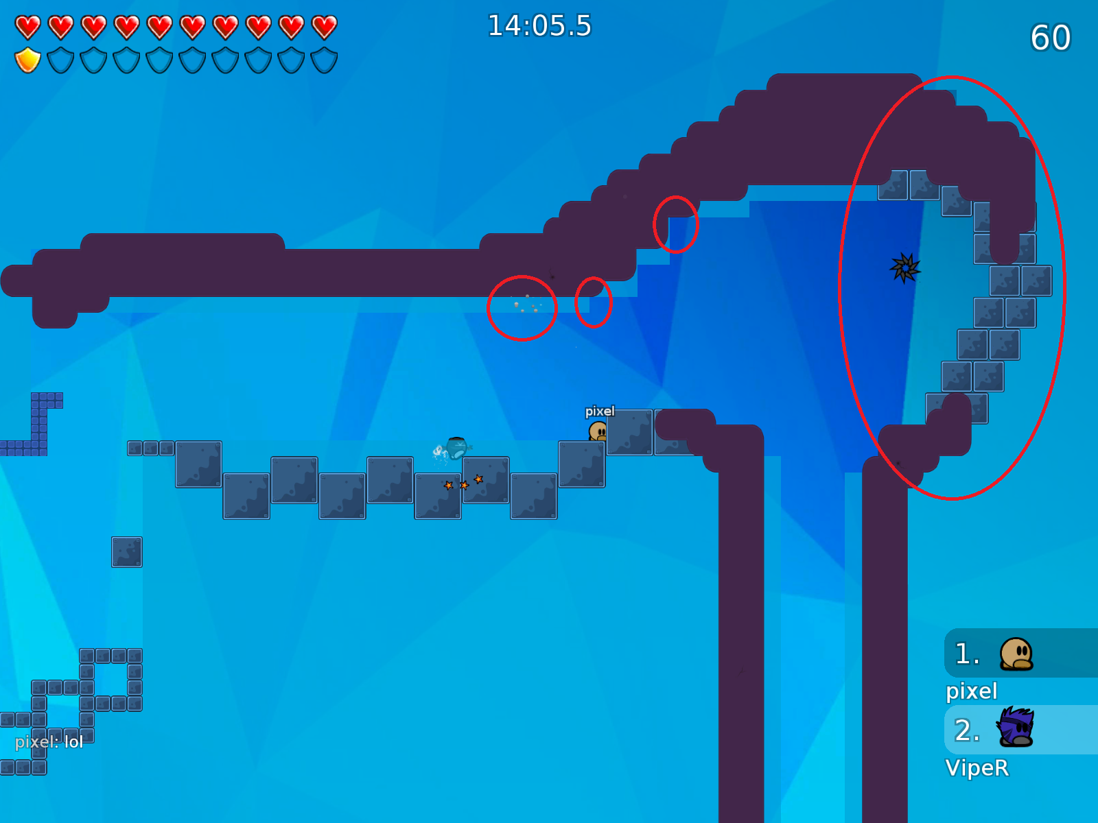 graphic bug