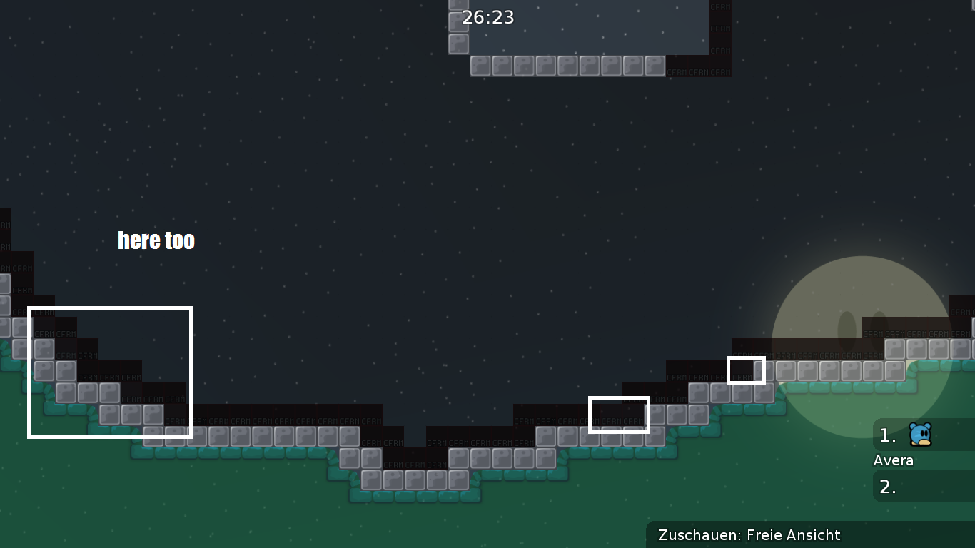 bug 11.png