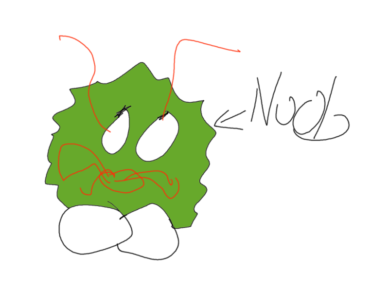 random_pic.png