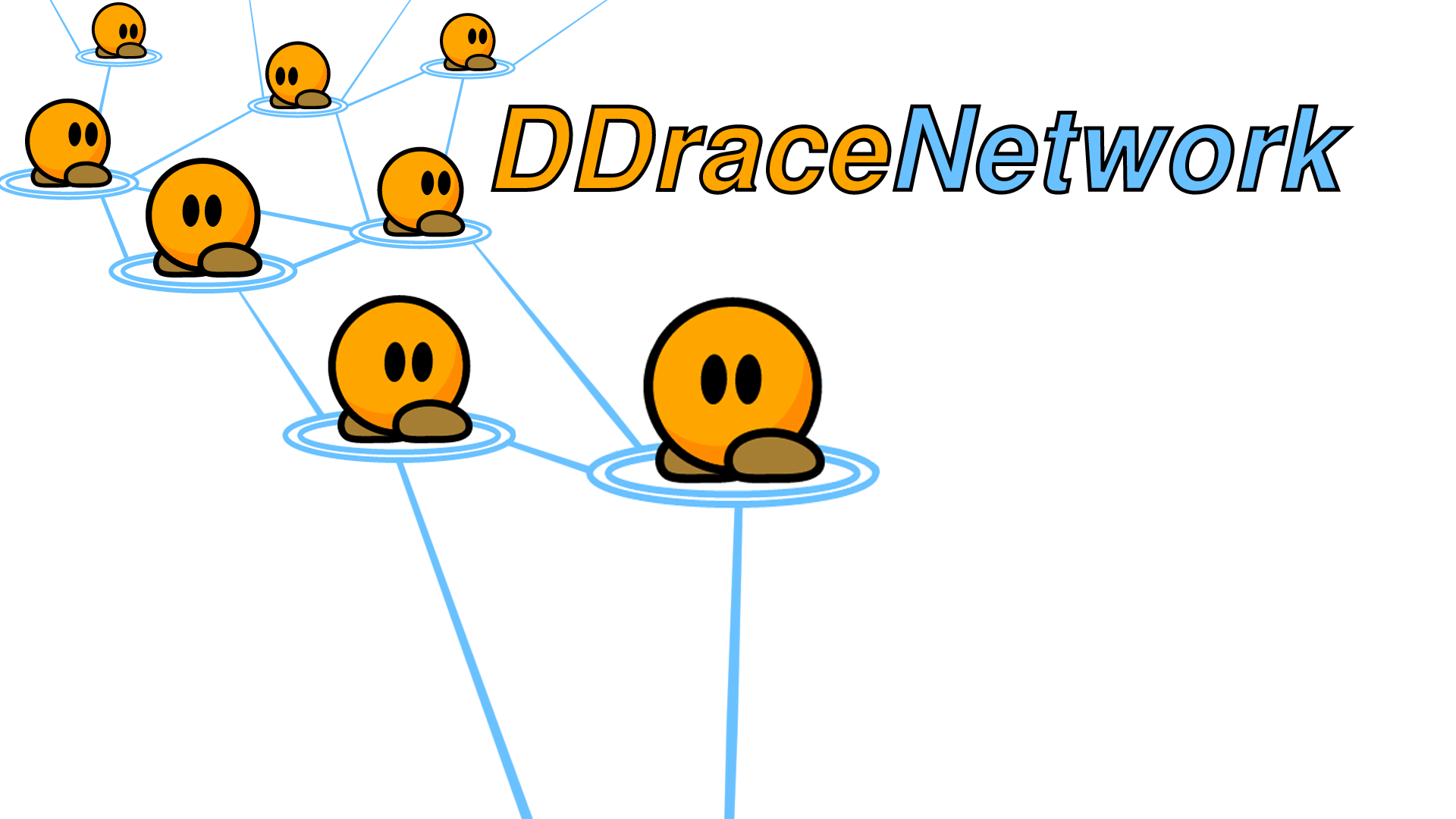 ddnetwork.png