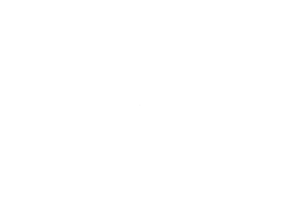 bat.png