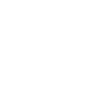 pumpkinflat.png