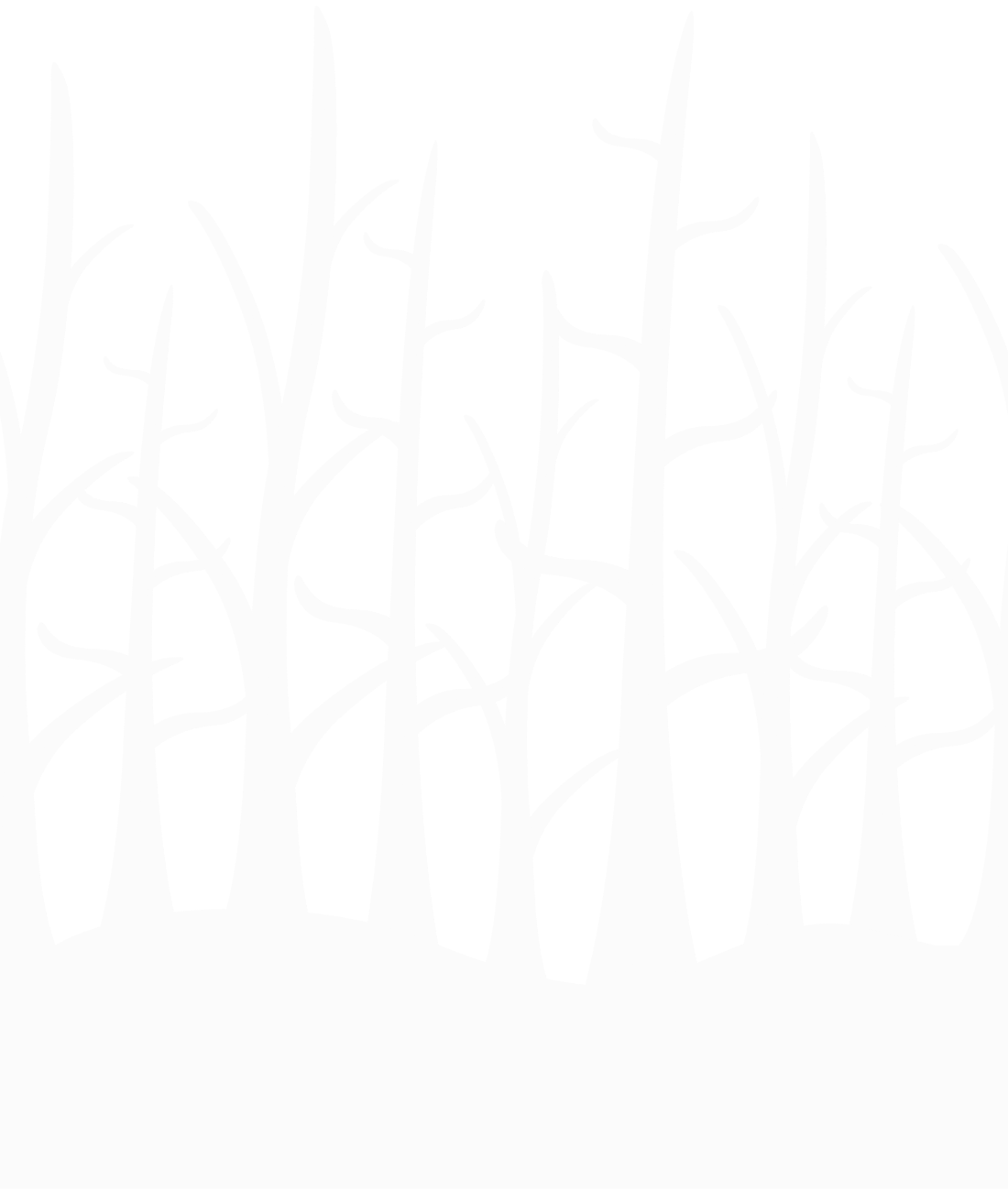 TreesNoLeavesWhite.png