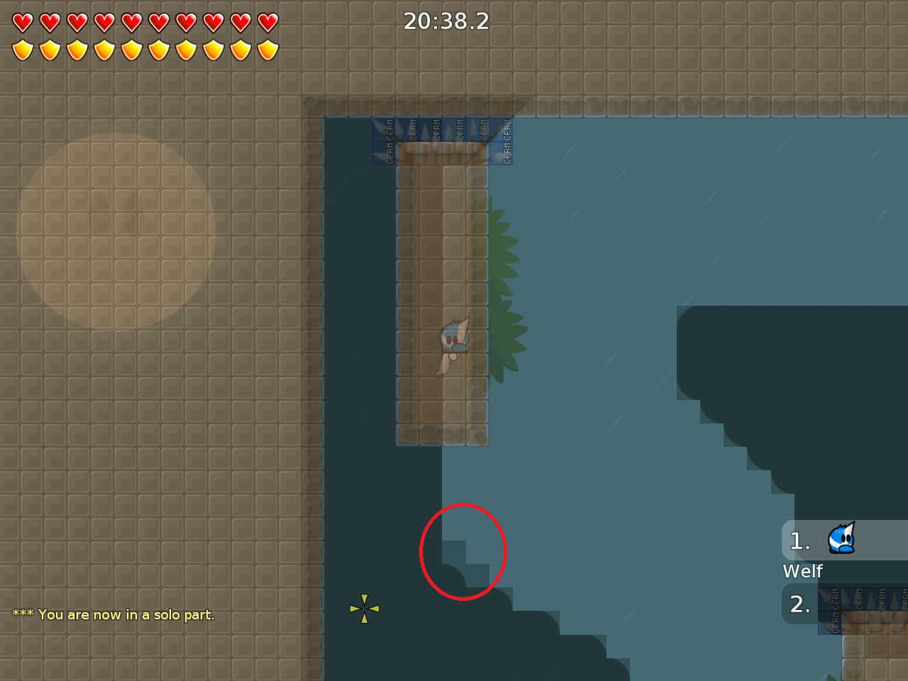 entitie bug