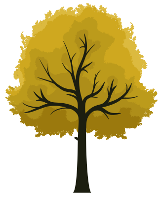 TreeEsp3.png