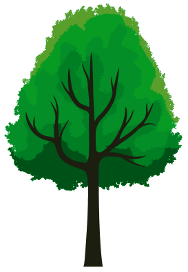 TreeEsp4.png
