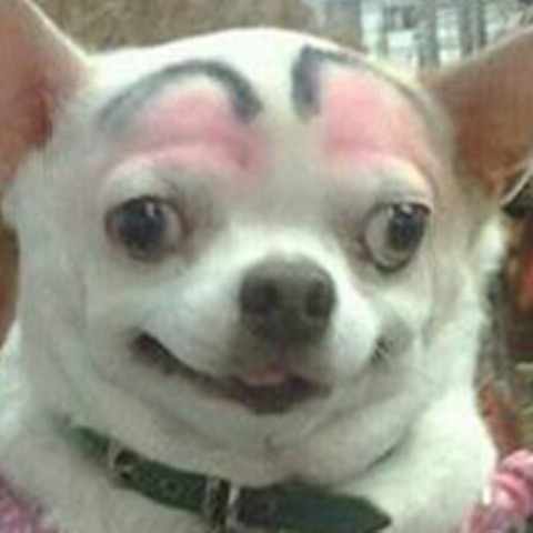 Мое фото 20.png